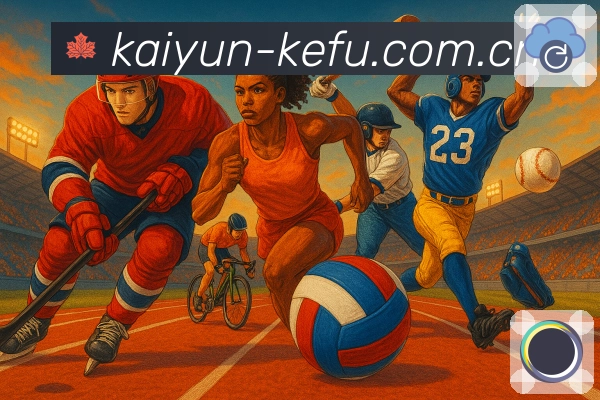 开云APP 官方推荐图